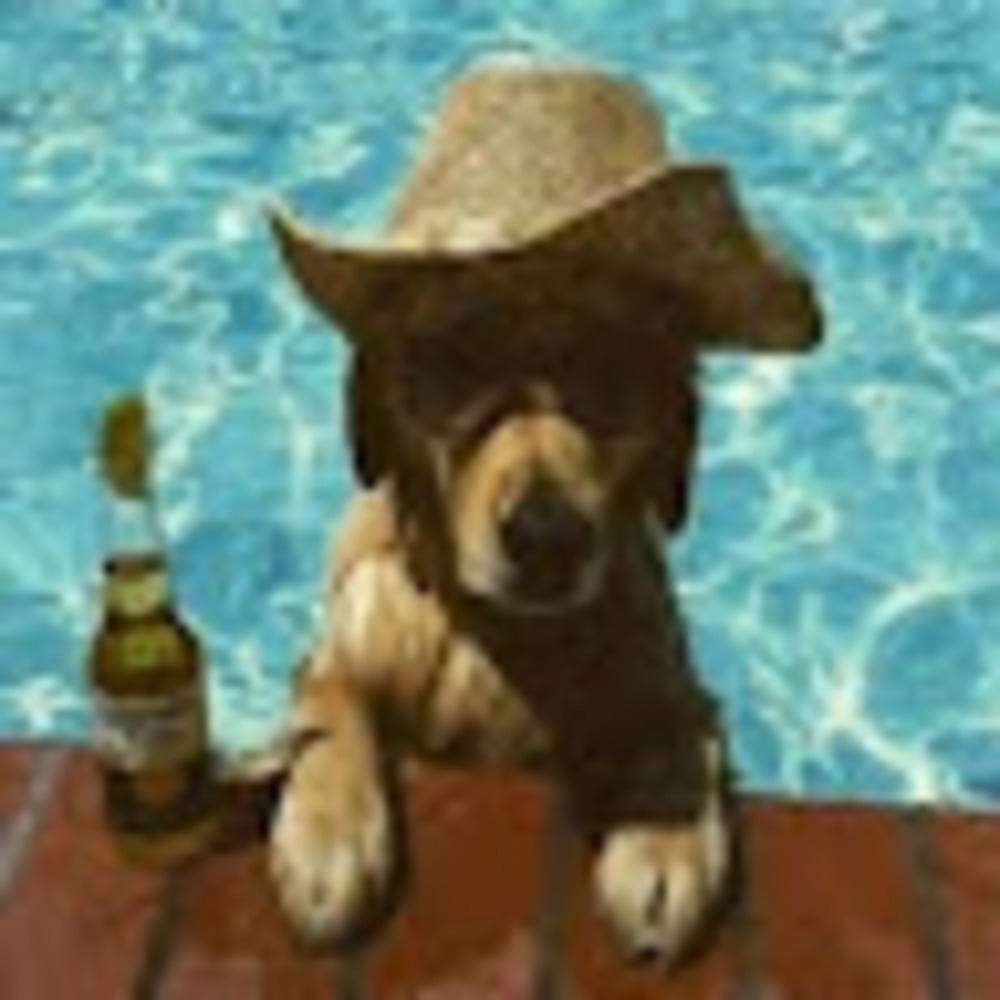 Meet your Posher, Brayden